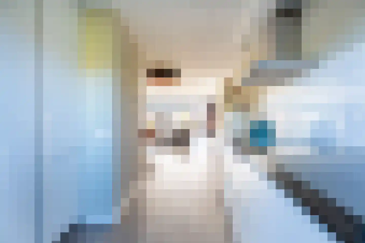 Bleihof 11 Voorhout thumbnail 10