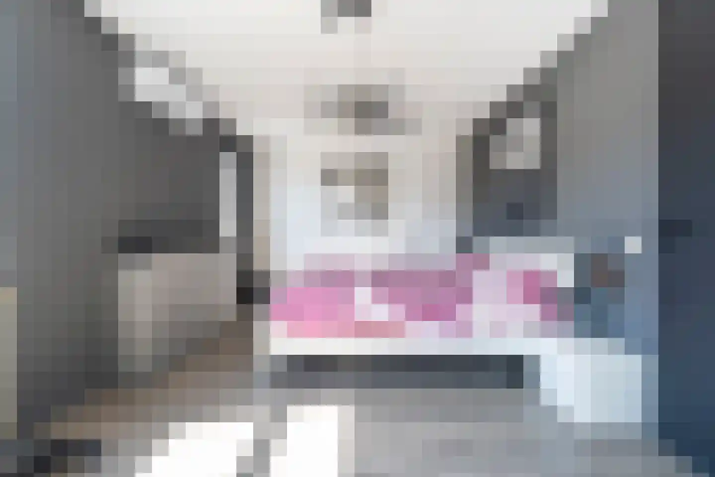 Bleihof 11 Voorhout thumbnail 15