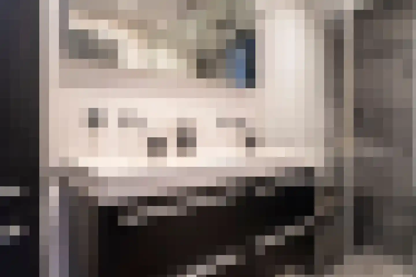Bleihof 11 Voorhout thumbnail 21