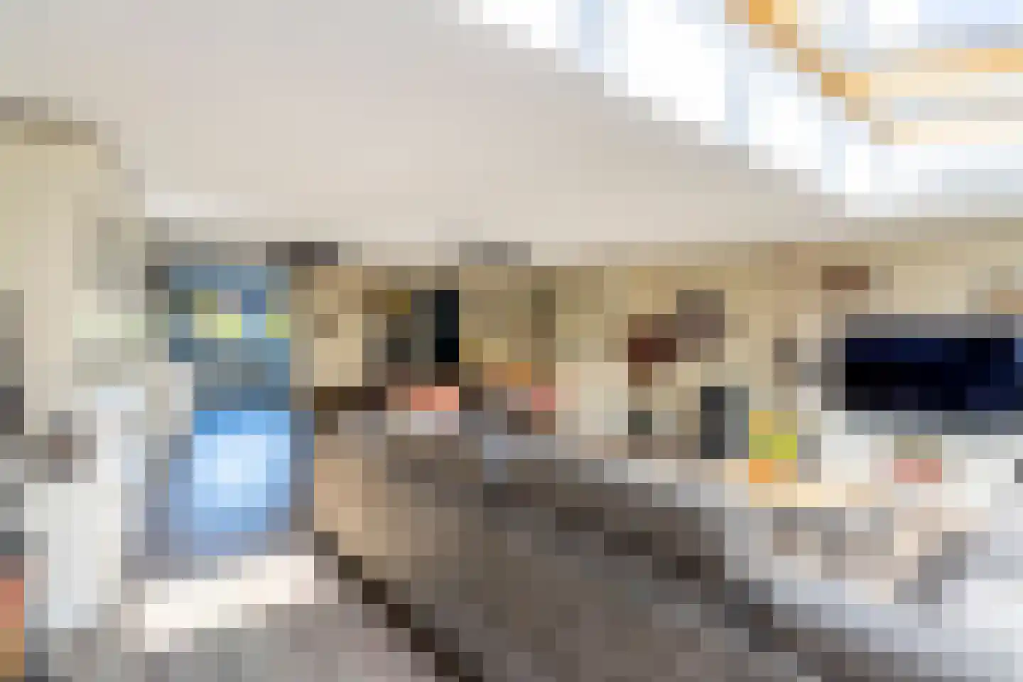 Bleihof 11 Voorhout thumbnail 7