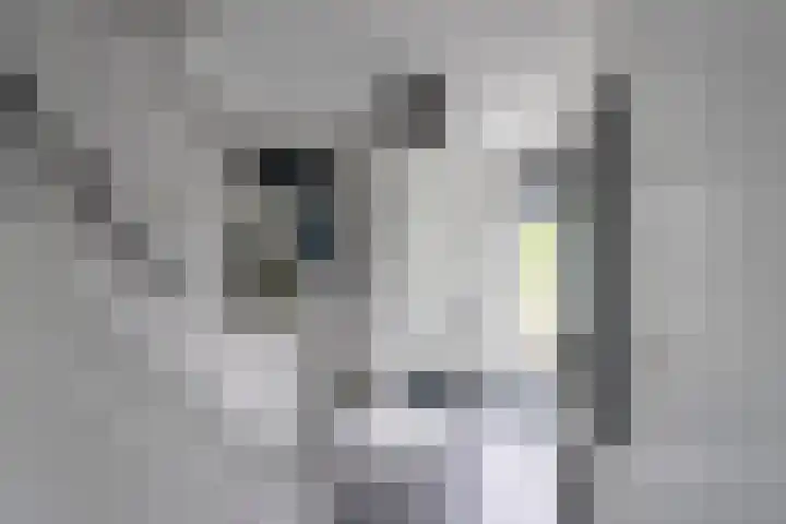 Bleihof 73 Voorhout thumbnail 10