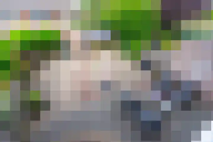 Bleihof 73 Voorhout thumbnail 15