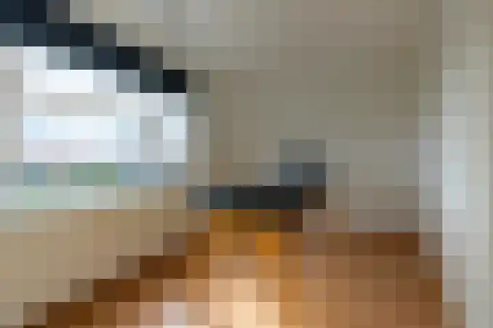 Bleihof 73 Voorhout thumbnail 29