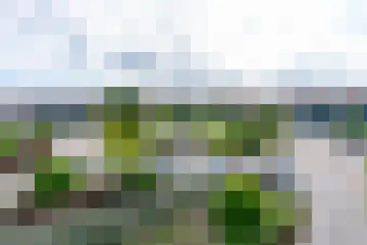 Bleihof 73 Voorhout thumbnail 30