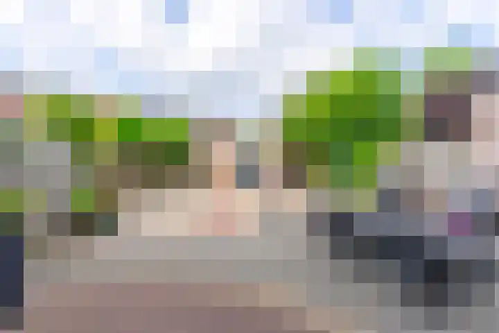 Bleihof 73 Voorhout thumbnail 33