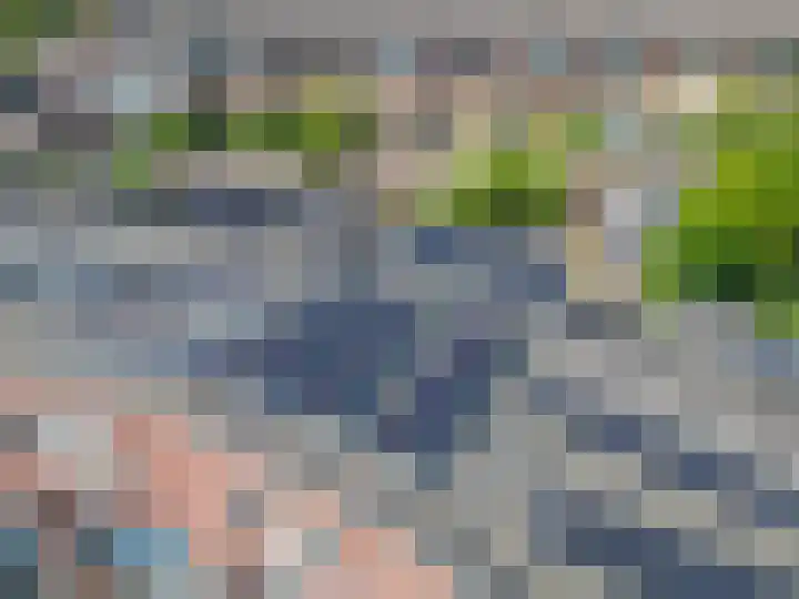 Bleihof 73 Voorhout thumbnail 38