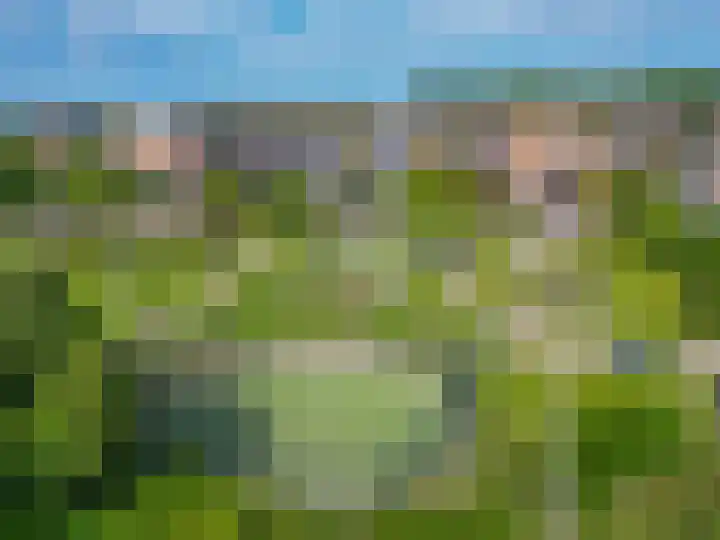 Bleihof 73 Voorhout thumbnail 42