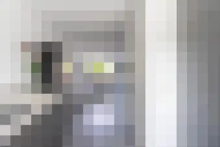 Bleihof 73 Voorhout thumbnail 7