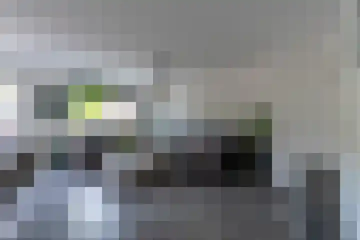 Bleihof 73 Voorhout thumbnail 8