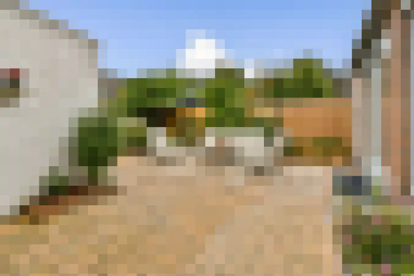 Bleihof 75 Voorhout thumbnail 14