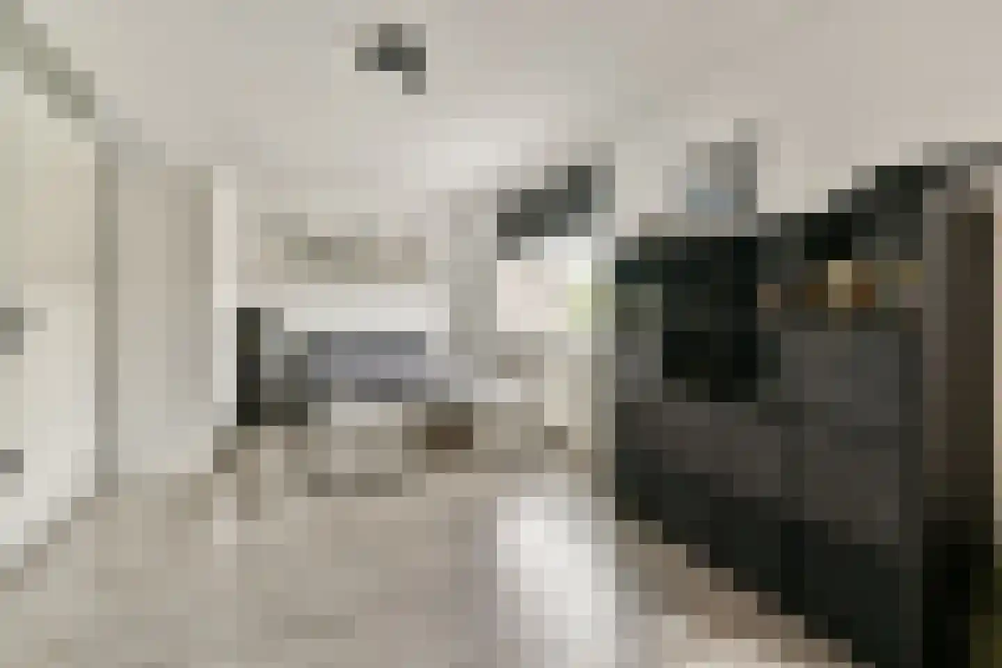 Bleihof 75 Voorhout thumbnail 19