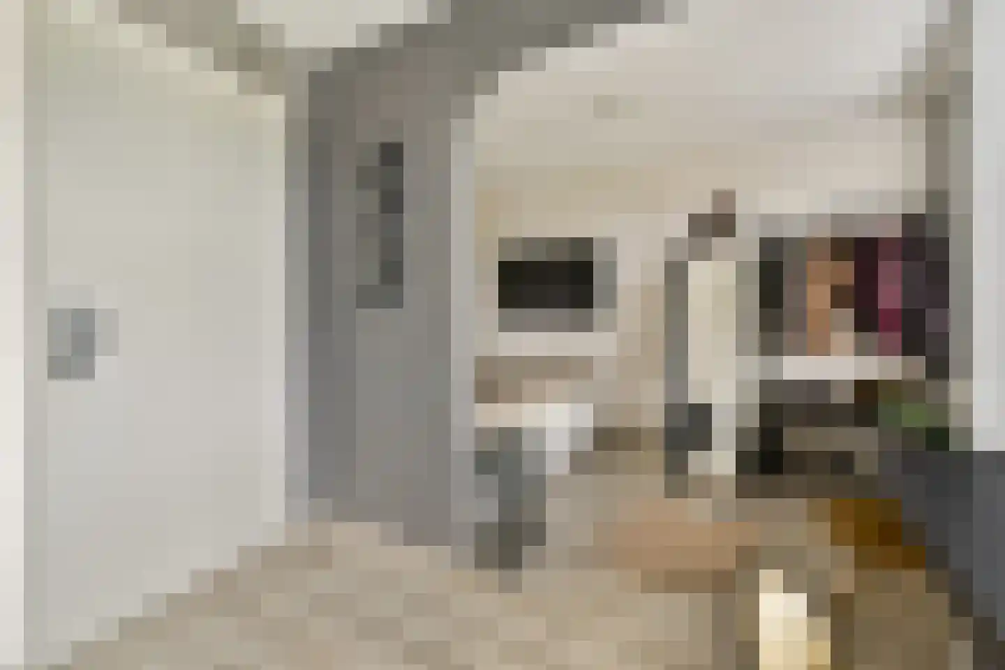 Bleihof 75 Voorhout thumbnail 22