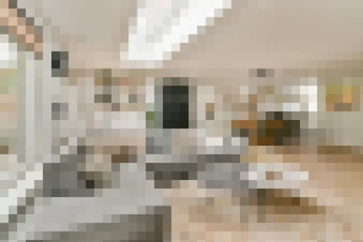 Bleihof 75 Voorhout thumbnail 7