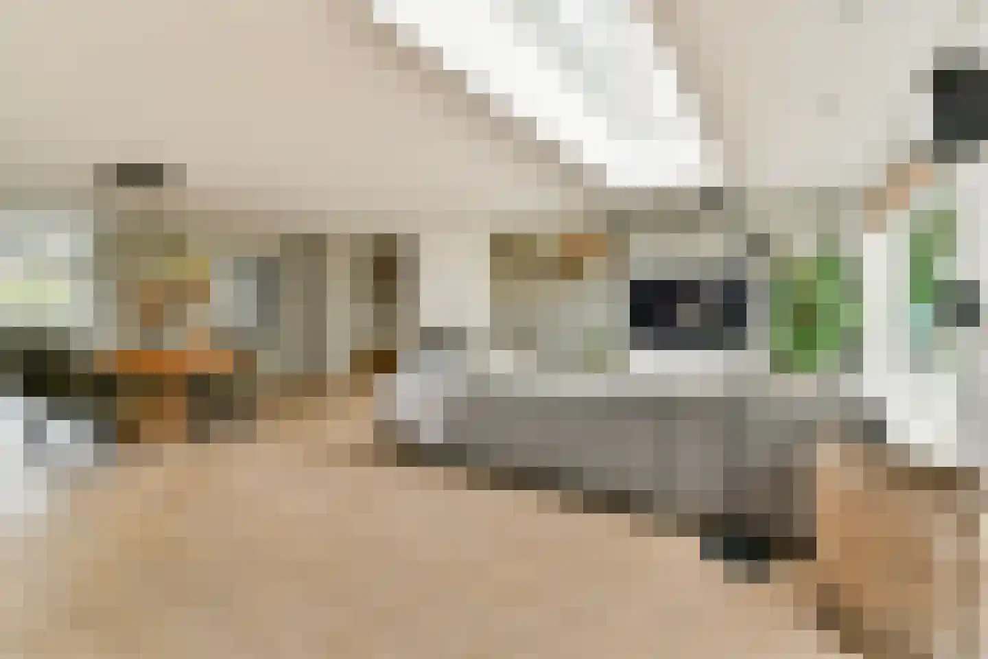 Bleihof 75 Voorhout thumbnail 8