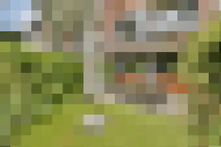 Bleijenbeek 12 Amsterdam thumbnail 10