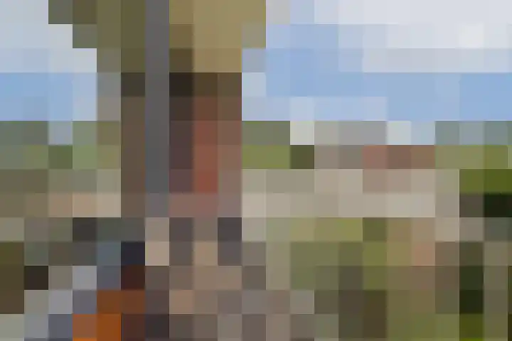 Bleijenbeek 12 Amsterdam thumbnail 13