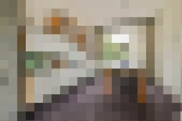 Bleijenbeek 12 Amsterdam thumbnail 15