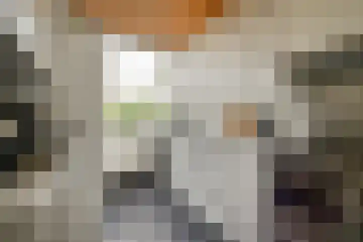 Bleijenbeek 12 Amsterdam thumbnail 16