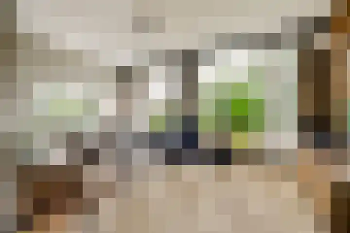 Bleijenbeek 12 Amsterdam thumbnail 4
