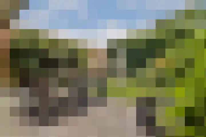 Bleijenbeek 12 Amsterdam thumbnail 9