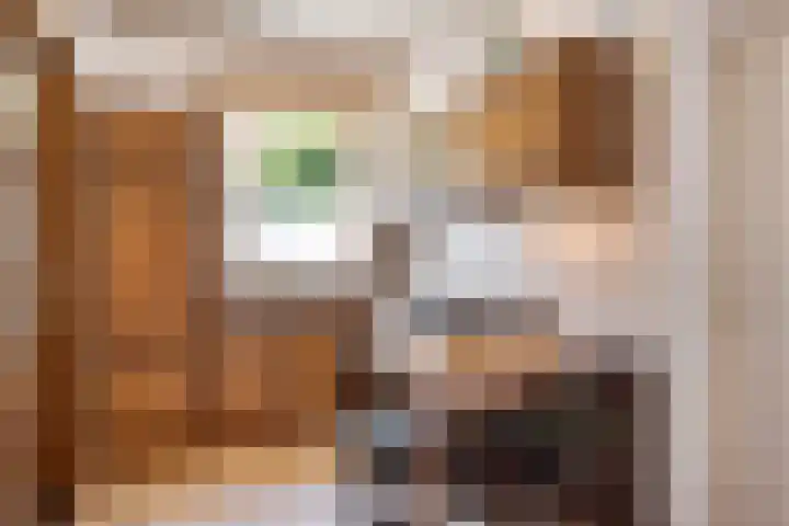 Bleijenbeek 13 Afferden L thumbnail 10