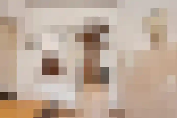 Bleijenbeek 13 Afferden L thumbnail 12