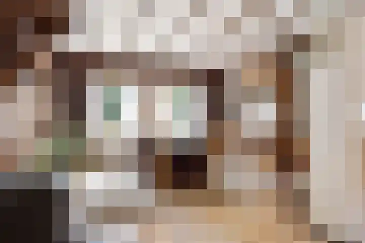 Bleijenbeek 13 Afferden L thumbnail 13