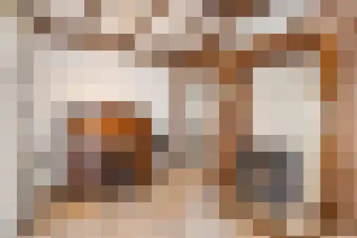 Bleijenbeek 13 Afferden L thumbnail 16