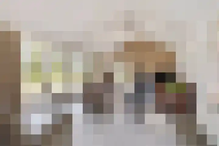 Bleijenbeek 13 Afferden L thumbnail 17