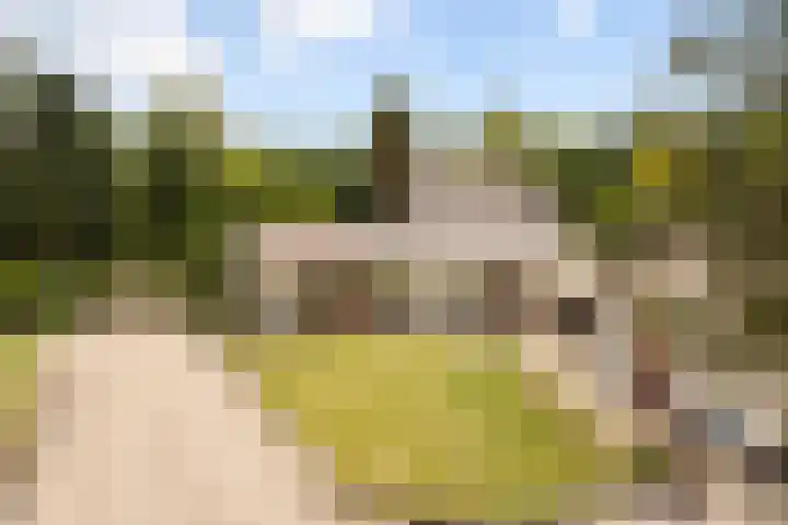 Bleijenbeek 13 Afferden L thumbnail 28