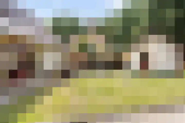 Bleijenbeek 13 Afferden L thumbnail 29