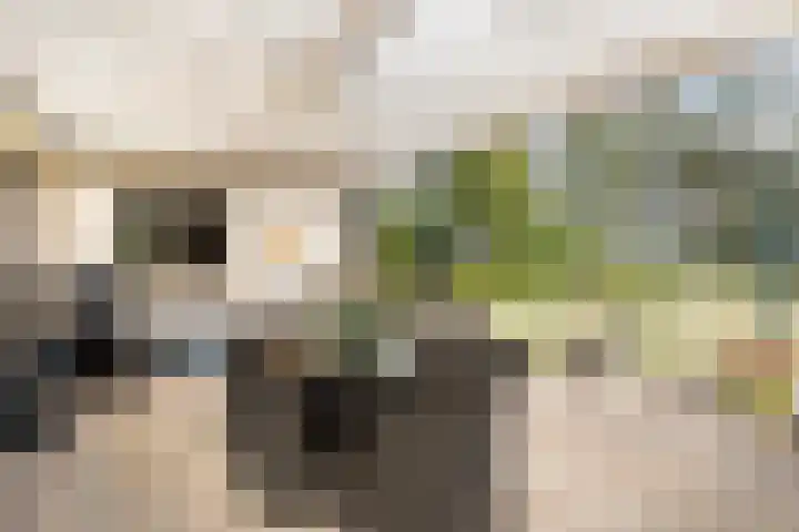 Bleijenbeek 13 Afferden L thumbnail 33