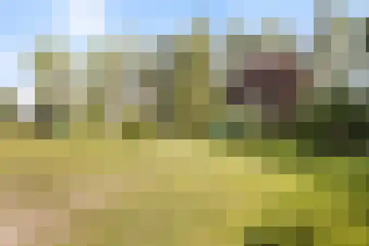 Bleijenbeek 13 Afferden L thumbnail 34