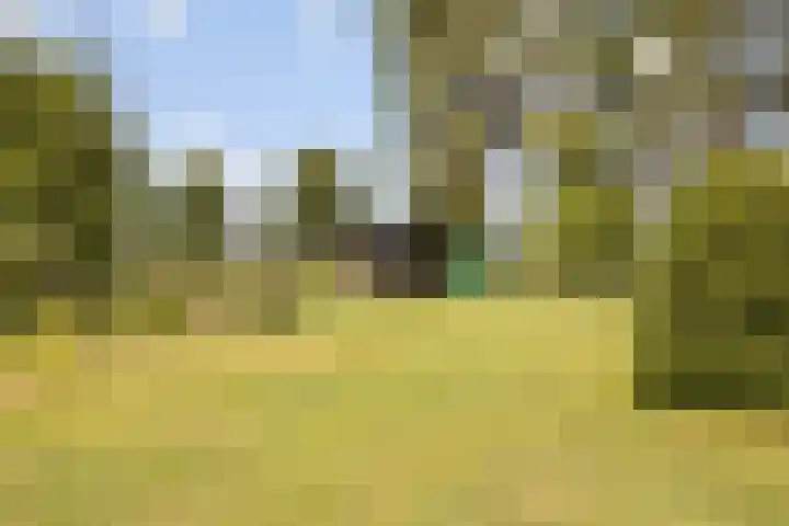 Bleijenbeek 13 Afferden L thumbnail 36
