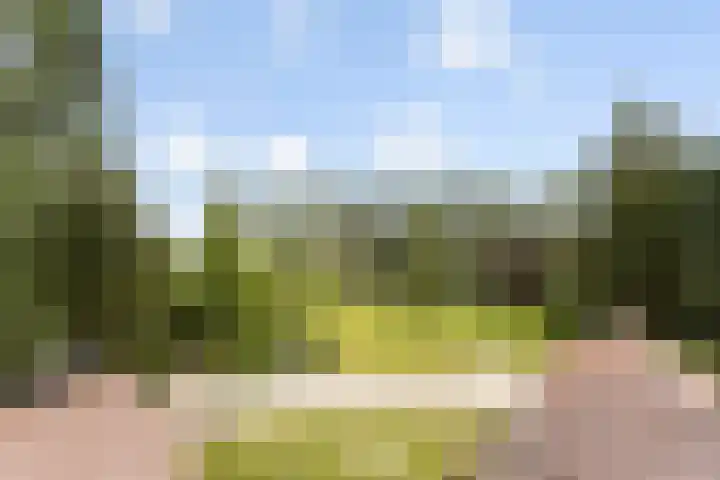 Bleijenbeek 13 Afferden L thumbnail 37