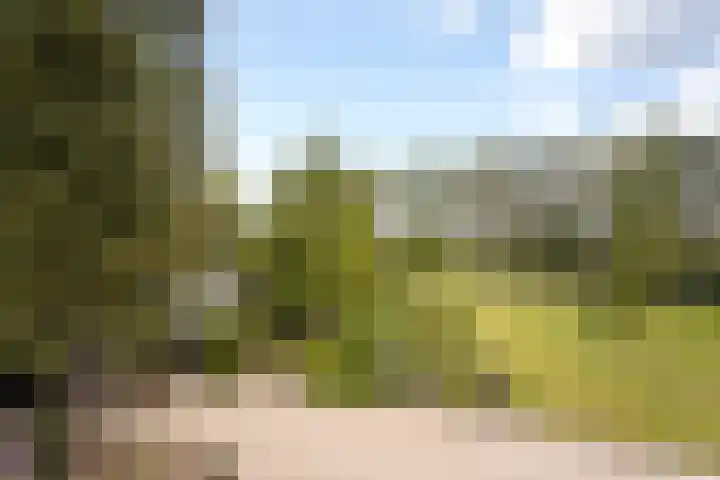 Bleijenbeek 13 Afferden L thumbnail 39