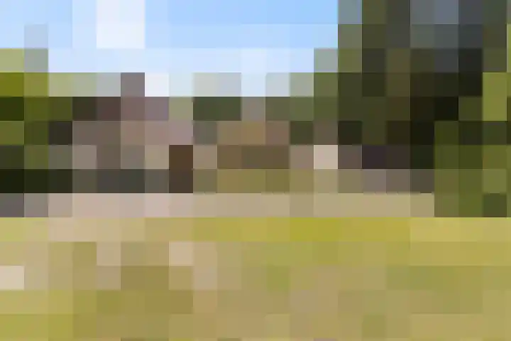 Bleijenbeek 13 Afferden L thumbnail 4