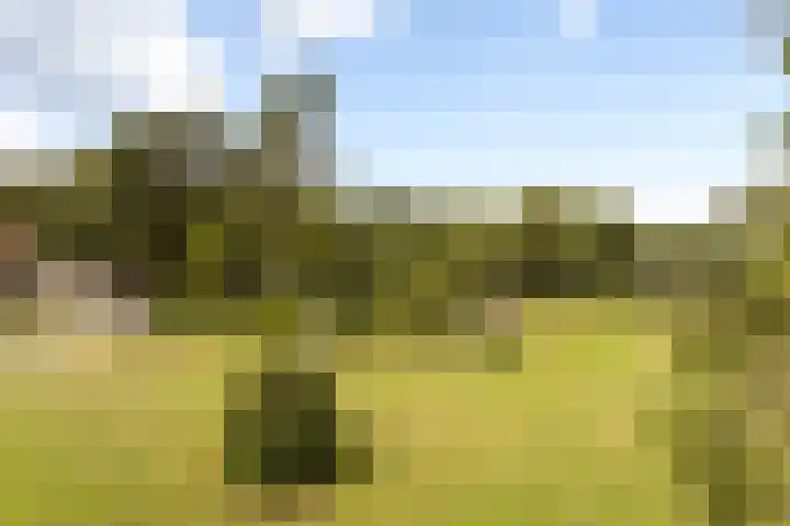 Bleijenbeek 13 Afferden L thumbnail 40