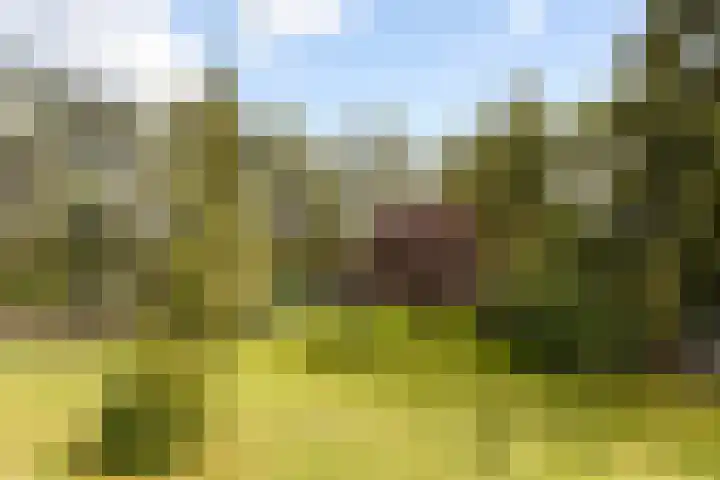 Bleijenbeek 13 Afferden L thumbnail 41