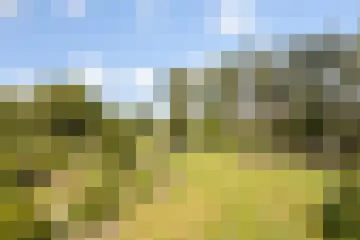 Bleijenbeek 13 Afferden L thumbnail 42
