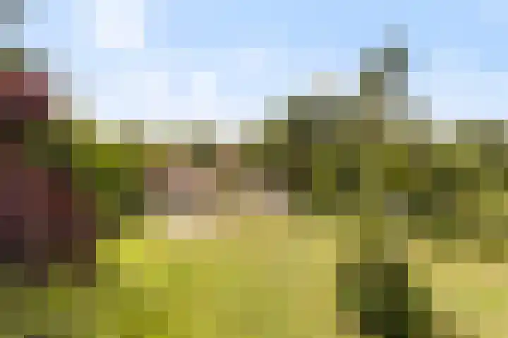Bleijenbeek 13 Afferden L thumbnail 43