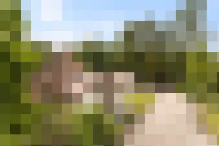 Bleijenbeek 13 Afferden L thumbnail 44