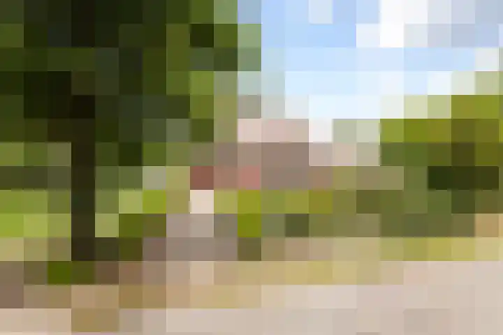 Bleijenbeek 13 Afferden L thumbnail 45