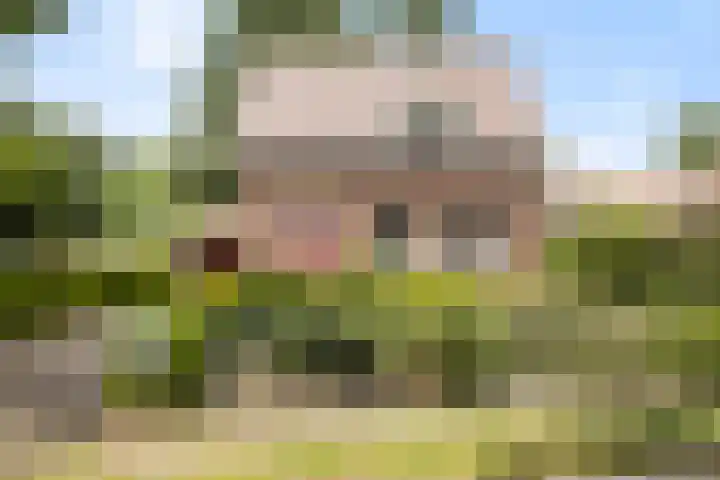 Bleijenbeek 13 Afferden L thumbnail 46