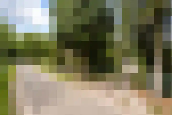 Bleijenbeek 13 Afferden L thumbnail 47