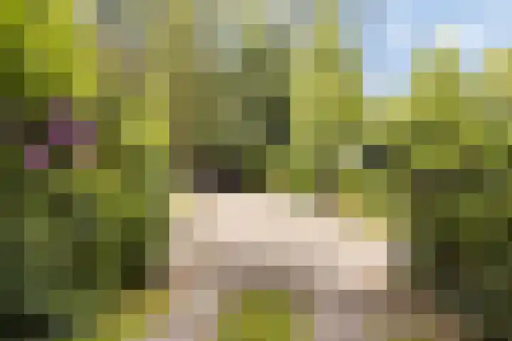 Bleijenbeek 13 Afferden L thumbnail 48