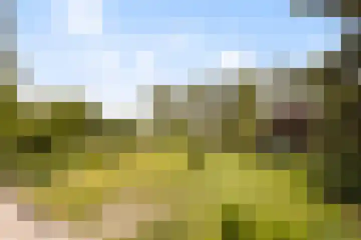 Bleijenbeek 13 Afferden L thumbnail 5