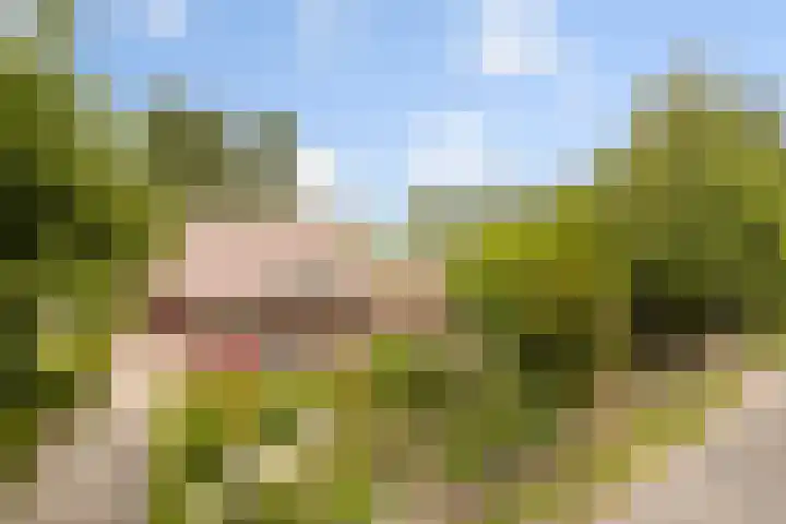 Bleijenbeek 13 Afferden L thumbnail 6
