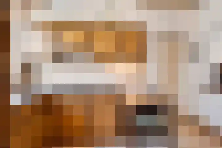 Bleijenbeek 13 Afferden L thumbnail 9