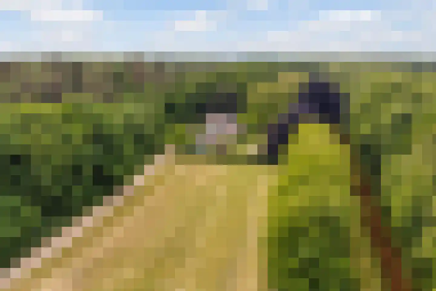 Bleijenbeek 2 in Afferden L